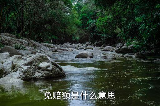 什么是免征額，免賠額是什么意思