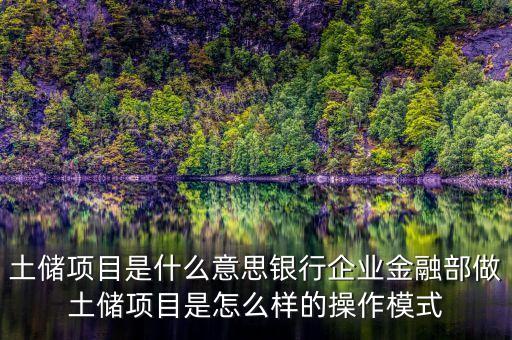 土儲(chǔ)項(xiàng)目是什么意思銀行企業(yè)金融部做土儲(chǔ)項(xiàng)目是怎么樣的操作模式