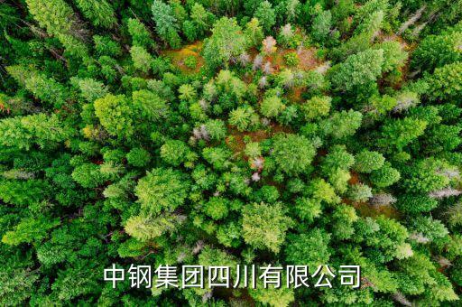 中鋼什么級別，中尉是什么等級
