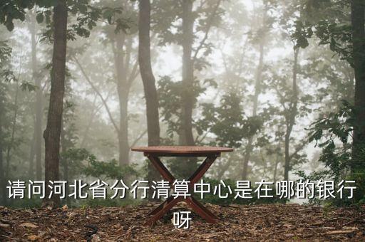 河北省分行清算中心是什么，請問河北省分行清算中心是在哪的銀行呀