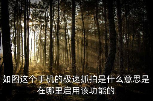 什么是戴維斯雙擊，如圖這個(gè)手機(jī)的極速抓拍是什么意思是在哪里啟用該功能的