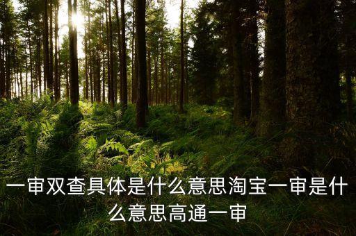 雙審是什么意思，雙審什么意思