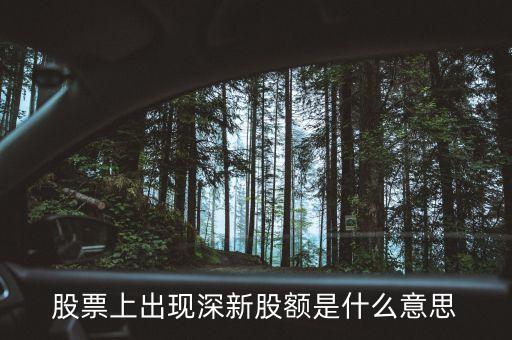 深新股額是什么意思，大智慧深新股額啥意思