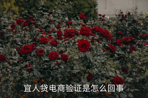 宜人貸為什么要看淘寶，手機(jī)app宜人貸極速版的對淘寶消費(fèi)記錄要求高嗎