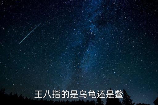 海王八指什么，什么是海王八