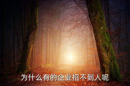 為什么公司招不到人呢，為什么有的企業(yè)招不到人呢