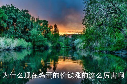 雞蛋價格為什么上漲，為什么雞蛋漲價這么厲害