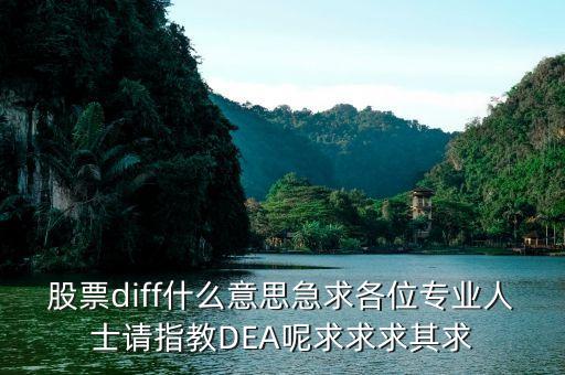 股票diff什么意思急求各位專業(yè)人士請指教DEA呢求求求其求
