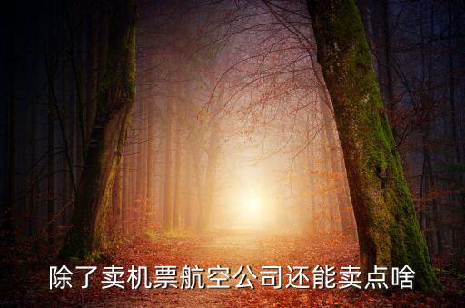 什么叫空地聯(lián)運，昆明火車站候機