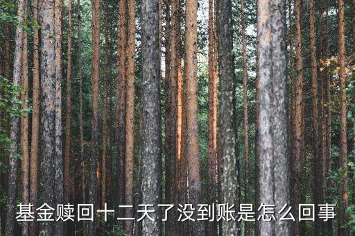 贖回成13天了為什么錢沒(méi)到賬，基金贖回成功了 為什么還沒(méi)到帳