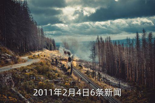 2月4日有什么新聞，2010年2月4日至2月20日新聞