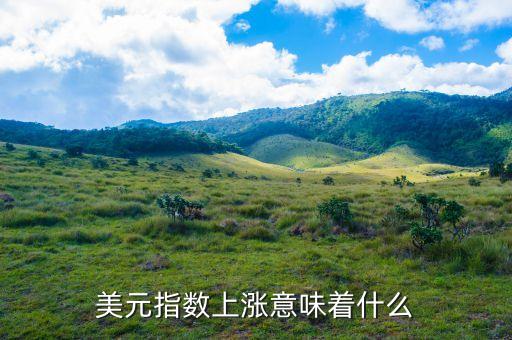 美元指數(shù)上漲什么意思，美元指數(shù)上漲下跌表明什么