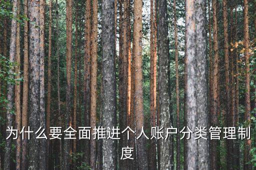 為什么進(jìn)行賬戶分類，為什么要全面推進(jìn)個(gè)人賬戶分類管理制度