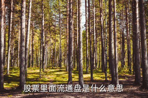 股票里面流通盤(pán)是什么意思