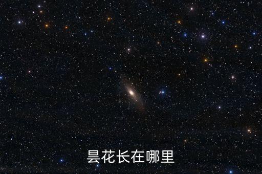曇花長(zhǎng)在哪里