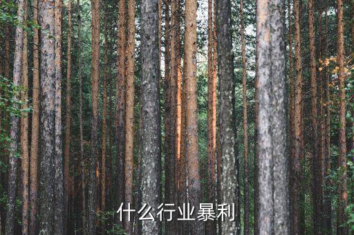 什么行業(yè)暴利，什么行業(yè)暴利