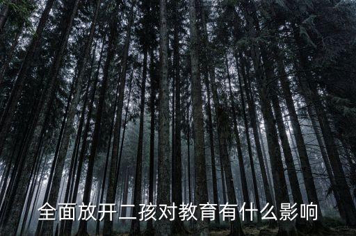全面二孩會(huì)帶來什么影響，全面放開二孩對(duì)教育有什么影響