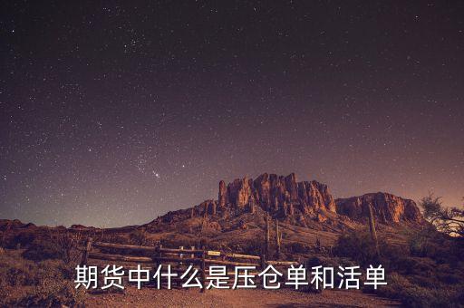 上海期貨交易所標(biāo)準(zhǔn)倉單是什么，期貨中倉單是什么