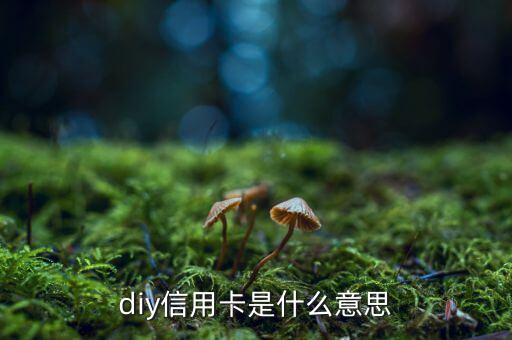 diy信用卡是什么意思，D1y信用卡是什么意思