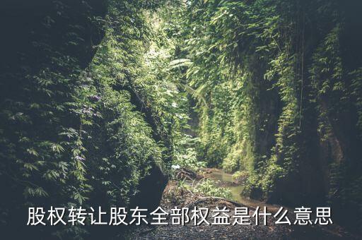 什么是全權益公司，股權轉讓股東全部權益是什么意思