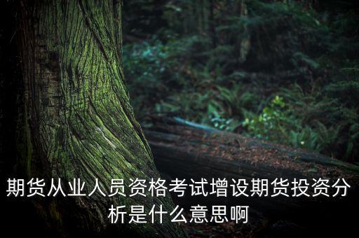 期貨從業(yè)人員資格考試增設期貨投資分析是什么意思啊