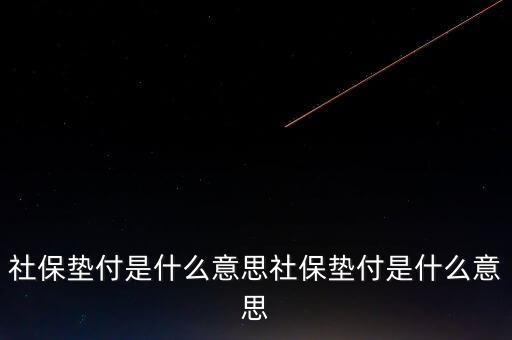 什么叫保費(fèi)墊交，社保墊付是什么意思社保墊付是什么意思