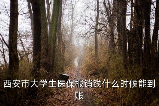 大學(xué)生醫(yī)保什么時(shí)候到賬，大學(xué)生武漢醫(yī)保報(bào)銷費(fèi)什么時(shí)候到帳啊
