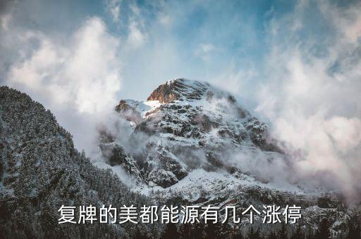 美都能源為什么停牌了，美都能源臨時(shí)停牌利好還是壞