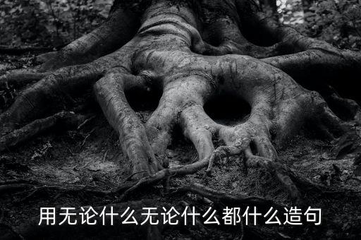 無論什么都得什么，用無論什么都什么寫句子