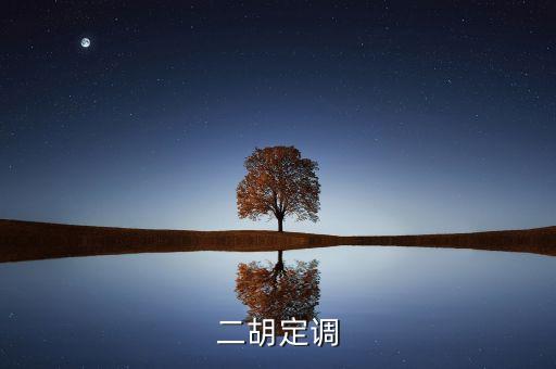 定調(diào)什么意思，二胡定調(diào)