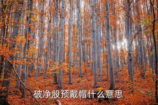 股票將要戴帽什么意思，破凈股預(yù)戴帽什么意思