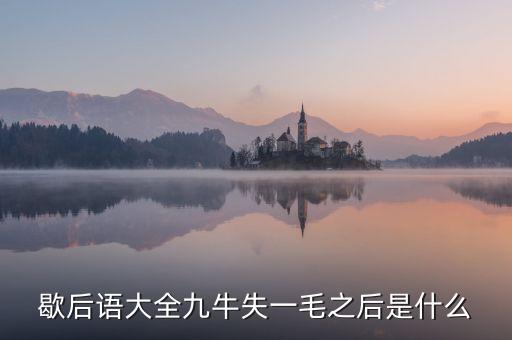 九牛失一毛的下預(yù)示什么，九牛失一毛