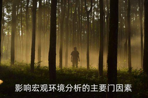 宏觀分析受什么影響，影響宏觀環(huán)境分析的主要門因素