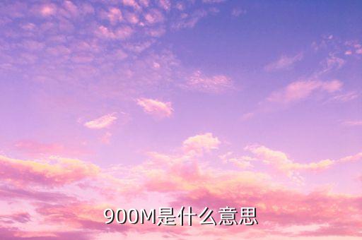 負債900m是什么意思，900m是什么意思