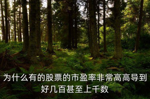 中國(guó)股市市盈率為什么那么高，為什么市盈率突然那么高