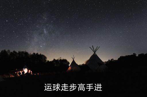 德隆治下的湘火炬戰(zhàn)略不包括什么，德隆治下的湘火炬戰(zhàn)略包括有哪些