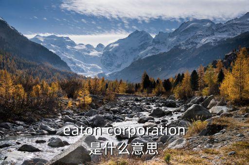 伊頓萬斯是什么，vans 是一個(gè)做什么的品牌