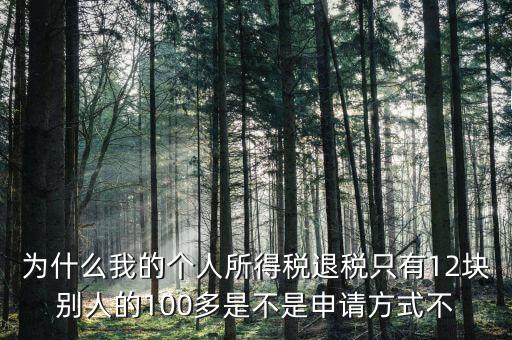 為什么我的個(gè)人所得稅退稅只有12塊別人的100多是不是申請(qǐng)方式不
