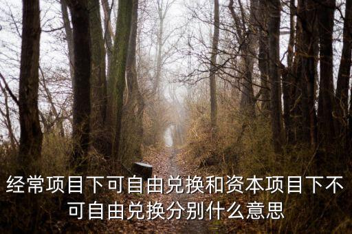 資本項(xiàng)下什么意思，經(jīng)常項(xiàng)目下可自由兌換和資本項(xiàng)目下不可自由兌換分別什么意思