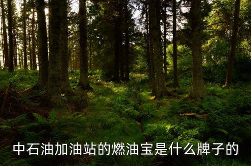 珠海中國石油里賣的是什么燃油寶，燃油寶是什么網(wǎng)上有得賣嗎