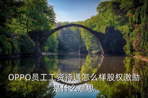 全員持股什么意思，OPPO員工工資待遇怎么樣股權(quán)激勵是什么意思