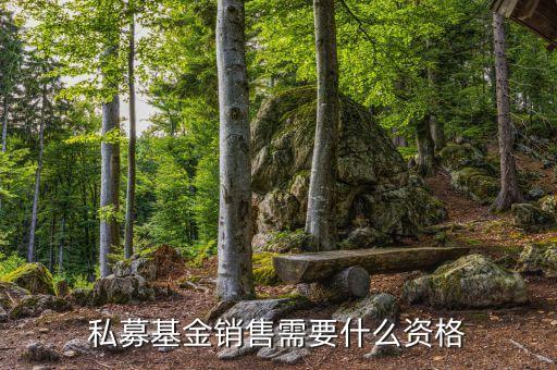 銷售基金需要什么資質(zhì)，財(cái)富公司銷售金融產(chǎn)品需要什么牌照或者資質(zhì)