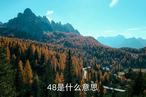老干媽48是什么，老干媽是什么東西啊