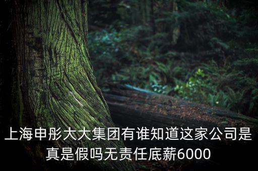 申彤大大集團賺的什么錢發(fā)工資，上海申彤大大集團有誰知道這家公司是真是假嗎無責(zé)任底薪6000