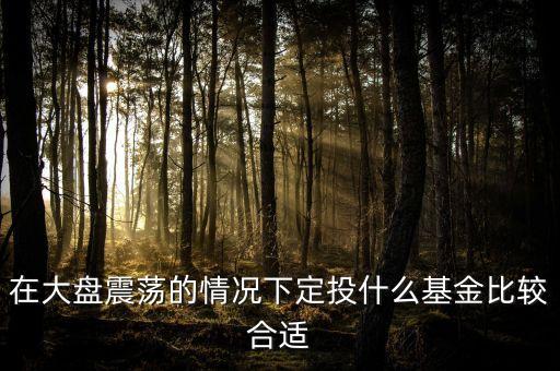 大盤調整買什么基金好，在大盤震蕩的情況下定投什么基金比較合適