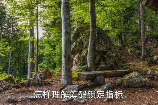 怎樣理解籌碼鎖定指標