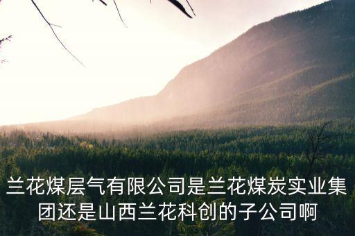 山西蘭花有什么煤層氣公司，山西蘭花煤炭實(shí)業(yè)集團(tuán)有限公司