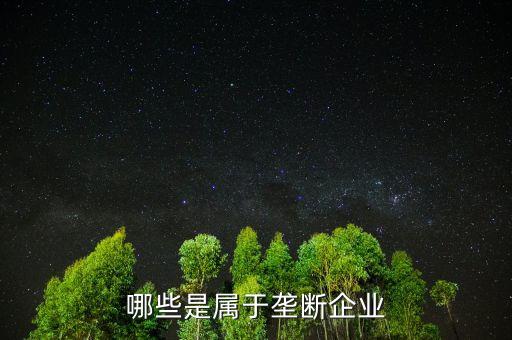 什么是消費(fèi)壟斷企業(yè)，哪些是屬于壟斷企業(yè)