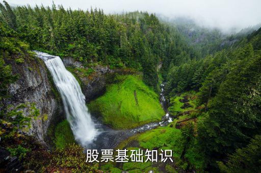 為什么要?dú)⑷谫Y盤，什么是垃圾股