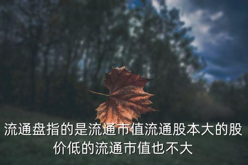 流通盤(pán)指的是流通市值流通股本大的股價(jià)低的流通市值也不大